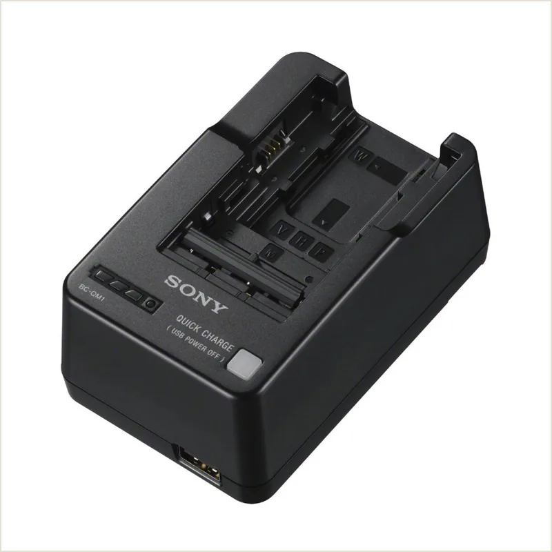 Зарядное устройство Sony BC-QM1