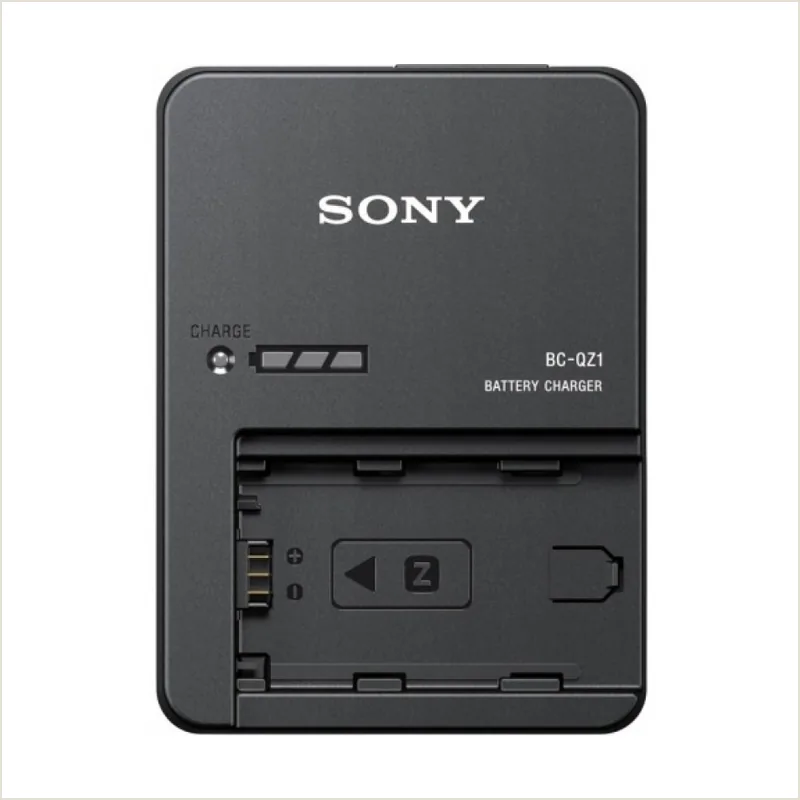 Зарядное устройство Sony BC-QZ1