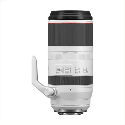 Объектив Canon RF 100-500mm f/4.5-7.1L IS USM — фото 1
