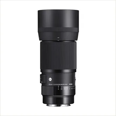 Объектив Sigma 105mm f/2.8 DG DN Macro Art L-Mount — фото 1